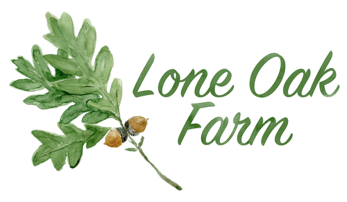 Lone Oak Farm Ice Cream